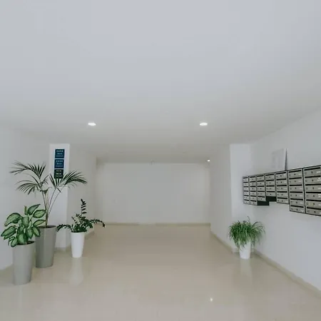 Apartment Blue Oasis